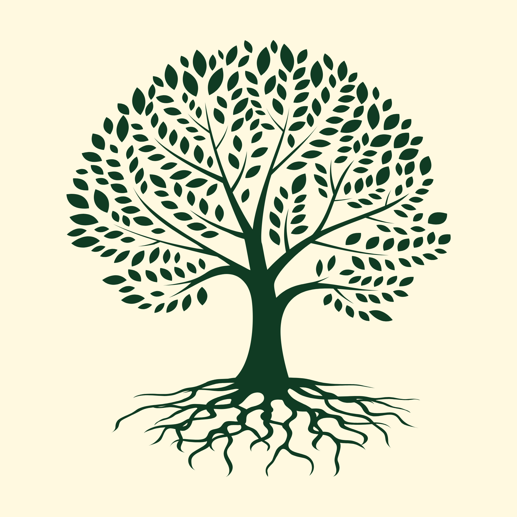 Small Steps into Genealogy